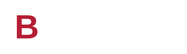 Bidzo
